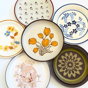 K&ouml;nnte beinhalten: Eine Sammlung von Vintage-Keramiktellern mit verschiedenen floralen Designs. Die Teller weisen eine Reihe von Farben auf, darunter Gelb, Blau, Braun und Wei&szlig;. Einige Teller haben einen durchgehenden Rand, andere aufwendige Muster.