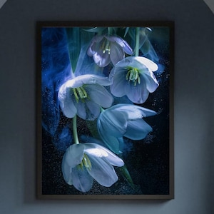 Fine Art, aGICLÉE™ Print, by Nina Znidersic, Photography, Hand-signed, Certificate of authenticity, Art, Abstract Art
