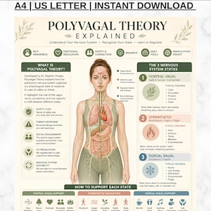 May include: An educational poster titled Polyvagal Theory Explained, featuring a central anatomical illustration of the human nervous system, organs, and vagus nerve. The chart includes text sections on nervous system states, support strategies, and daily habits in a neutral colour palette.
