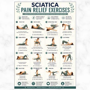 Sciatica Pain Relief Exercises, Lower Back Stretch Routine, Sciatic Nerve Glide Mobility Chart, Physical Therapy, Hip & Piriformis Stretches