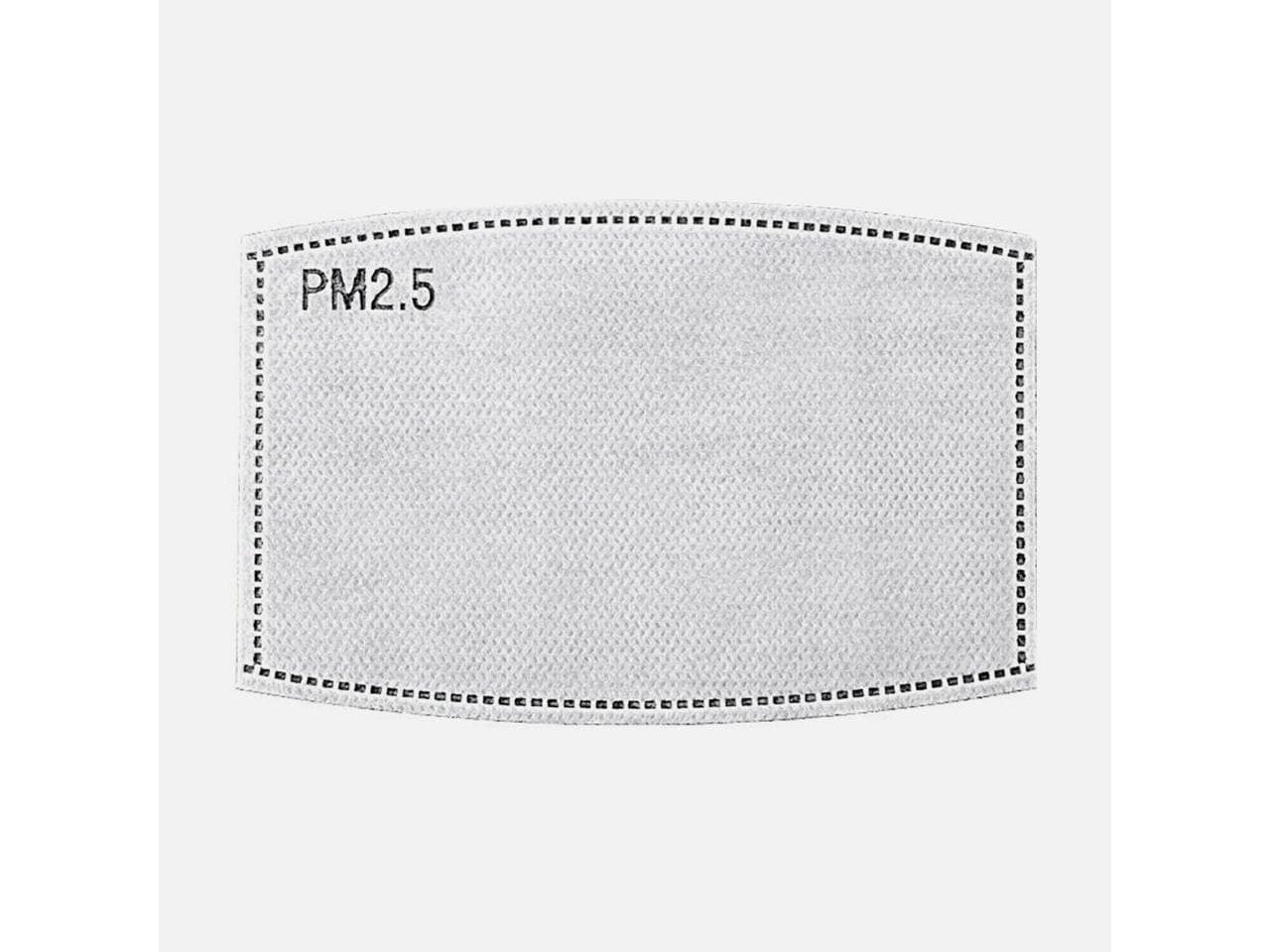 10 PM 2.5 filter refill pack