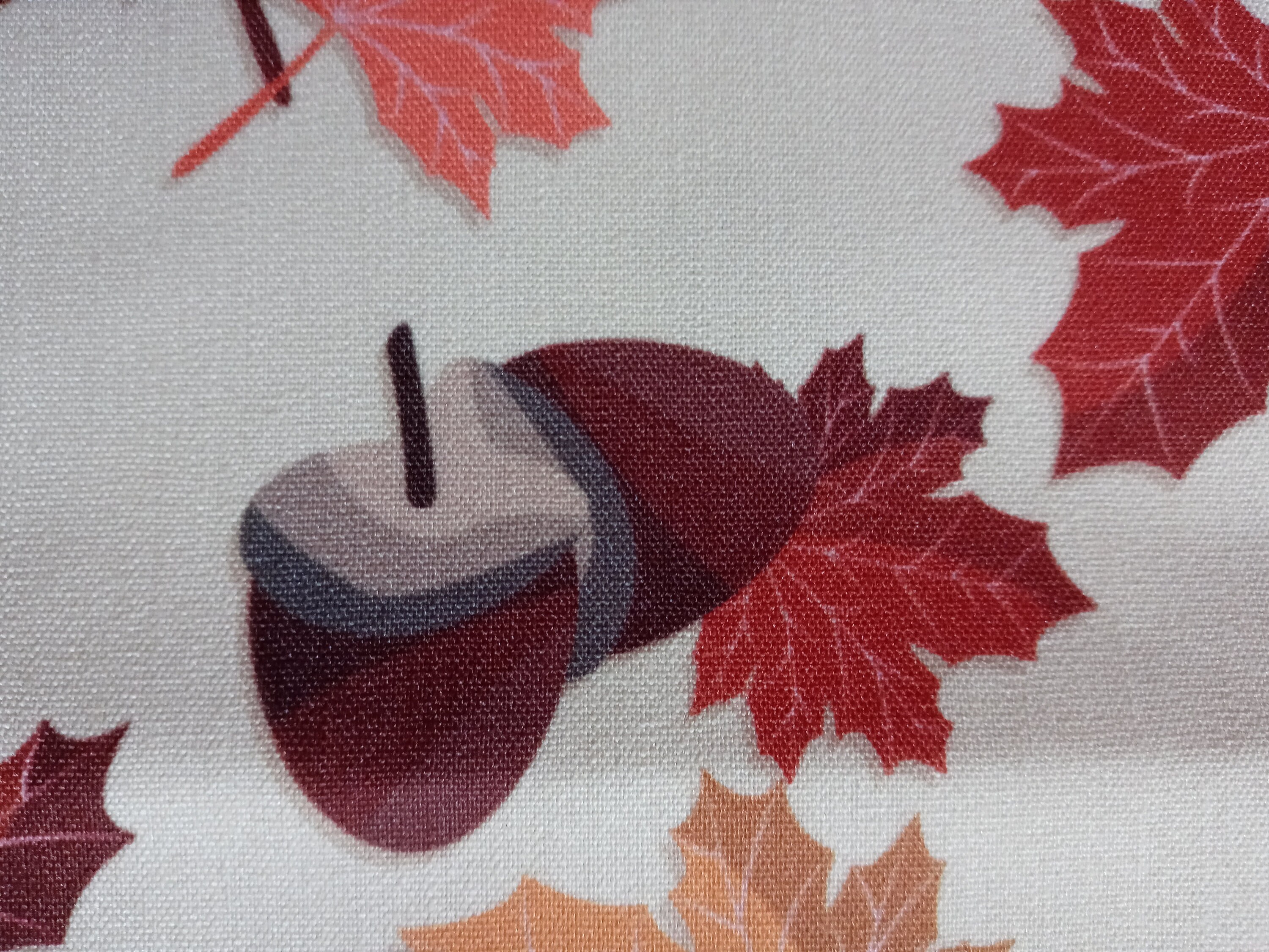 Fall Face Mask with Side Opening for Filters.  This Autumn Leaves with Acorns Face Covering Includes 5 PM 2.5 filters. Orange, Beige, Brown - Thumbnail 7