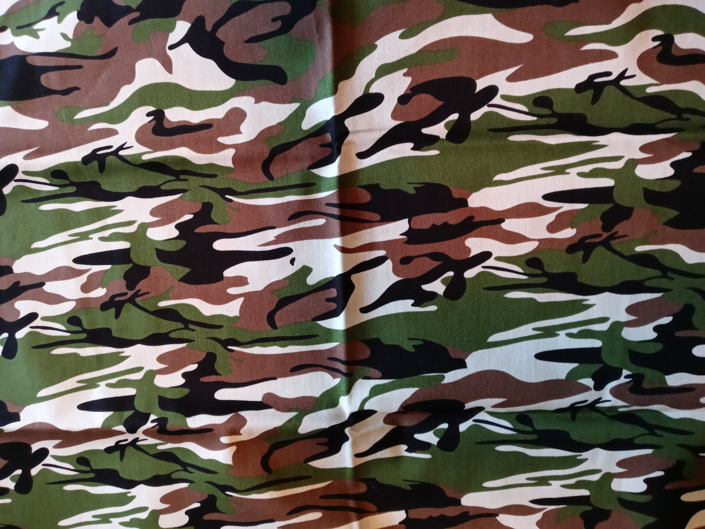 Camo Face Mask with Side Opening for Filters. 5 PM 2.5 Filters included, Green, Brown, Washable - Thumbnail 5