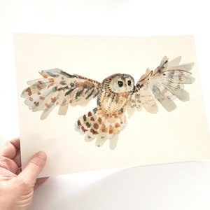 Owl art print, Strix Aluco bird watercolour, Archival woodland illustration, The tawny brown owl painting, Farmhouse decor night birds image 2