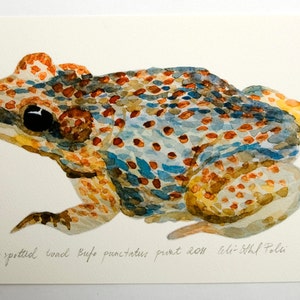Watercolor frog art, Toad illustration, Woodland frog, Gift for her, Blue brown toad, Home wall decor, Frog drawing, Nursery art, Art gift image 2