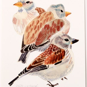 Vogel archivering giclee print, Bird afbeelding, vogels tekenen van print, bruine vogel kunst, wit gevleugelde sneeuw vinken, wand vogel decor cadeau voor thuis