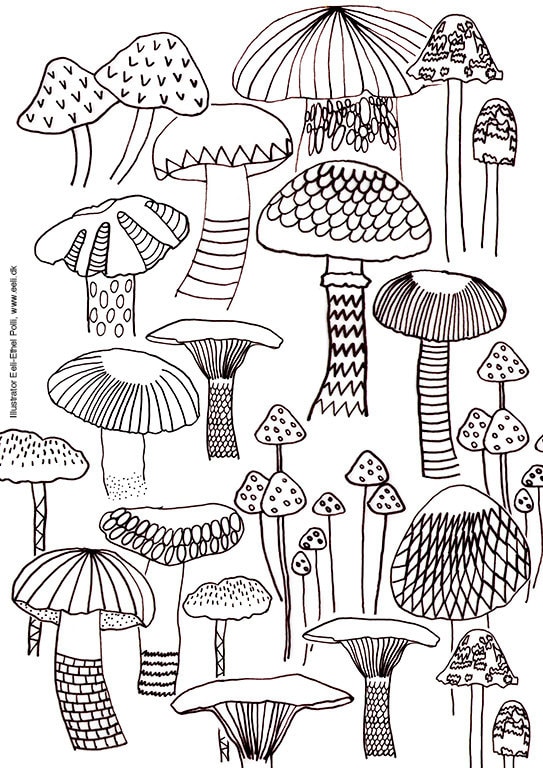 mushroom coloring sheets nature mushrooms instant printable etsy new zealand