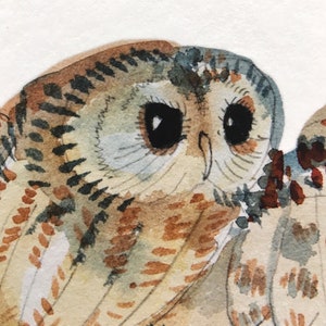 Owl art print, Strix Aluco bird watercolour, Archival woodland illustration, The tawny brown owl painting, Farmhouse decor night birds image 3