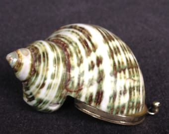 Antique seashell coin purse or little retro secret case treasure chest. Christmas ooak vintage present for mum. Curiosity cabinet gift idea
