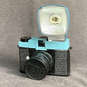 Diana f flash camera - Etsy 日本