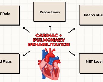 May include: Diagram illustrating cardiac and pulmonary rehabilitation. The central image is a stylized heart, with arrows pointing to boxes labeled "OT Role," "Precautions," "Interventions," "MET Levels," and "Red Flags."