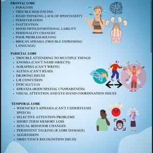 Op de afbeelding: Een educatieve poster getiteld "Hersenkwab Symptomen" geeft symptomen weer die geassocieerd worden met de frontale, pari&euml;tale en temporale kwabben. De poster bevat illustraties van mensen die verschillende symptomen ervaren, zoals verwarring en geheugenverlies.
