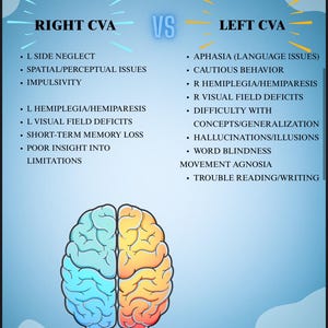 Op de afbeelding: Een blauwe infographic die Rechts CVA en Links CVA vergelijkt. De linkerkant geeft symptomen weer, waaronder L-zijdig verwaarlozing en impulsiviteit. De rechterkant geeft symptomen weer, waaronder afasie en voorzichtig gedrag. Een gestileerd brein staat in het midden.