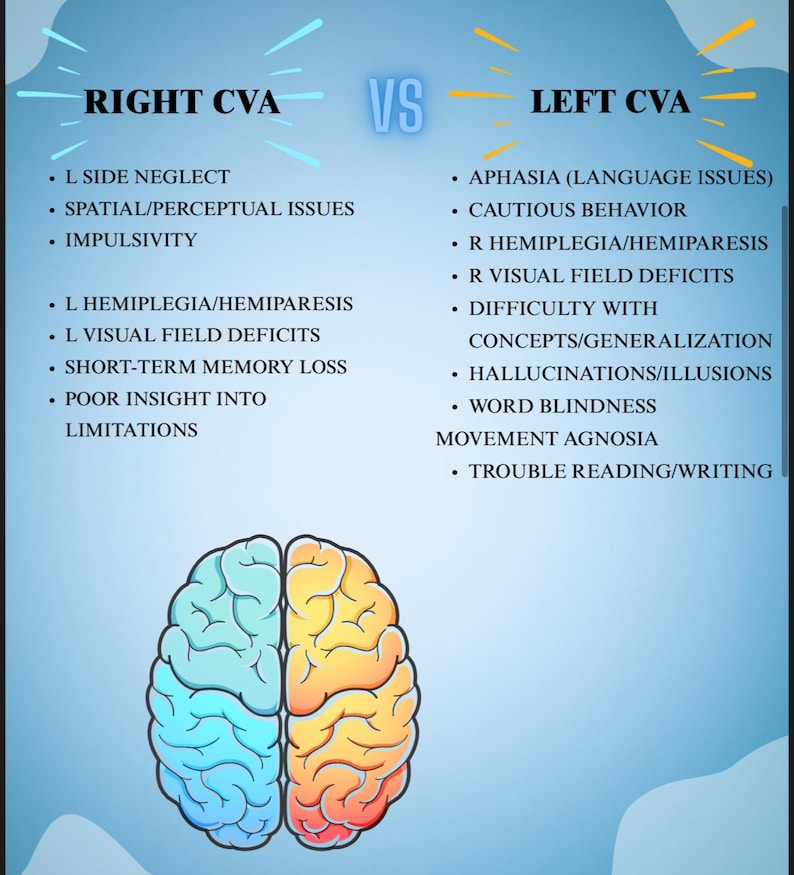 Op de afbeelding: Een blauwe infographic die Rechts CVA en Links CVA vergelijkt. De linkerkant geeft symptomen weer, waaronder L-zijdig verwaarlozing en impulsiviteit. De rechterkant geeft symptomen weer, waaronder afasie en voorzichtig gedrag. Een gestileerd brein staat in het midden.