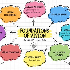 Op de afbeelding: Een kleurrijke mindmap getiteld "Foundations of Vision" met onderling verbonden concepten zoals visueel geheugen, patroonherkenning en visuele scherpte. Elk concept staat in een wolk-vormige doos met een korte beschrijving. De afbeelding staat op een witte achtergrond.