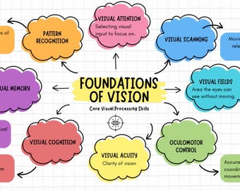 May include: A colorful mind map titled "Foundations of Vision" with interconnected concepts like visual memory, pattern recognition, and visual acuity. Each concept is in a cloud-shaped box with a brief description. The image is on a white background.