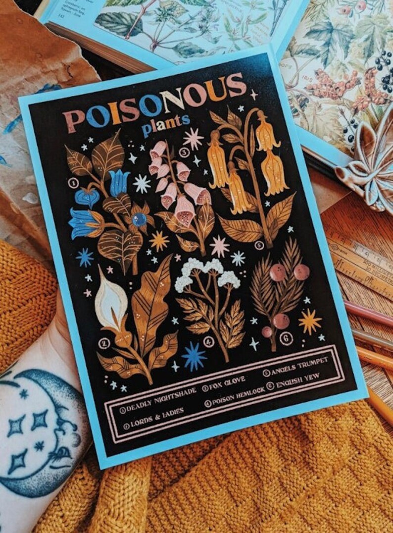 Puede incluir: Un p&oacute;ster ilustrado en negro y dorado con el t&iacute;tulo "Plantas Venenosas". El p&oacute;ster presenta ilustraciones de varias plantas venenosas, incluyendo belladona, dedalera, se&ntilde;ores y damas, cicuta, trompeta de &aacute;ngel e tejo ingl&eacute;s. Cada planta est&aacute; numerada y etiquetada con su nombre com&uacute;n.