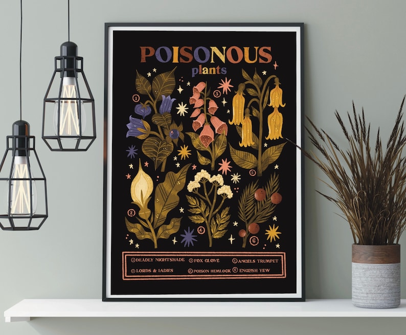 Puede incluir: Un p&oacute;ster negro y dorado con el t&iacute;tulo "POISONOUS plants" e ilustraciones de varias plantas venenosas, incluyendo Belladona, Dedalera, Se&ntilde;ores y Damas, Cicuta, Trompeta de &Aacute;ngel y Tejo.