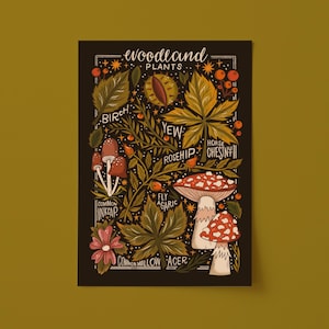 Woodland Plant Art Print: Botanical Illustration (UNFRAMED)