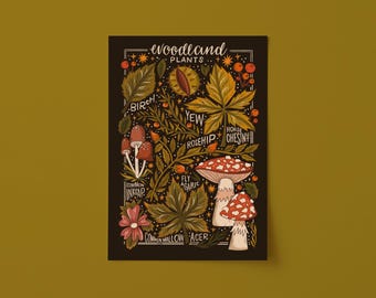Illustrated Nature Woodland Plant Art Print. Unframed Botanical Digital Artwork. Trees, Mushrooms