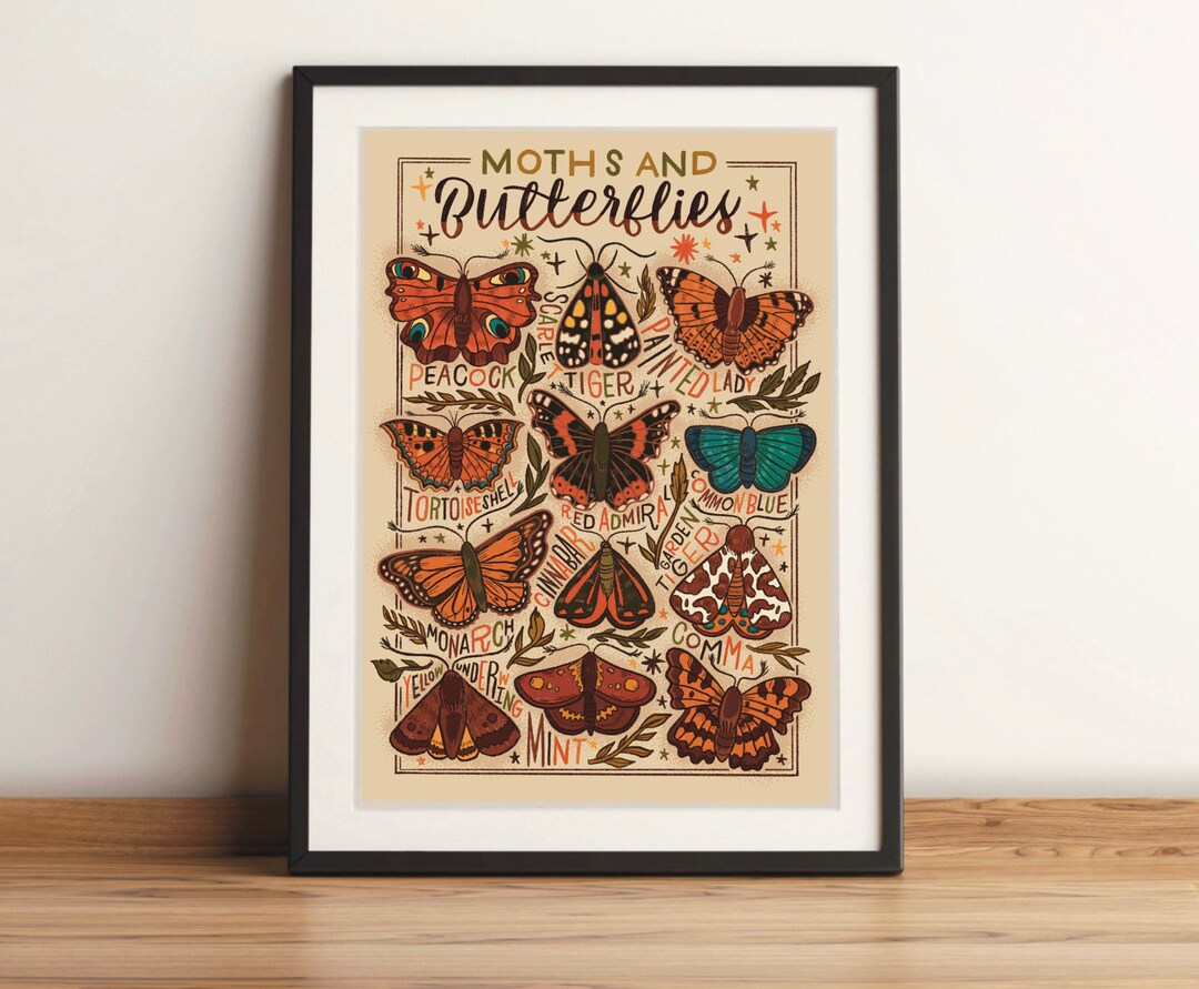 Art Print Moths and Butterflies Chart Botanical - Etsy UK