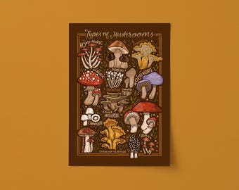 Illustrated Mushroom Chart A3 Unframed Digital Art Print. Botanical Hand Lettered Illustration