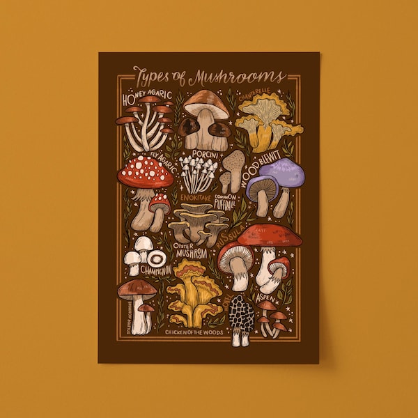 Lámina artística / Tabla de setas / Ilustración botánica de Steph Says Hello / SIN MARCO