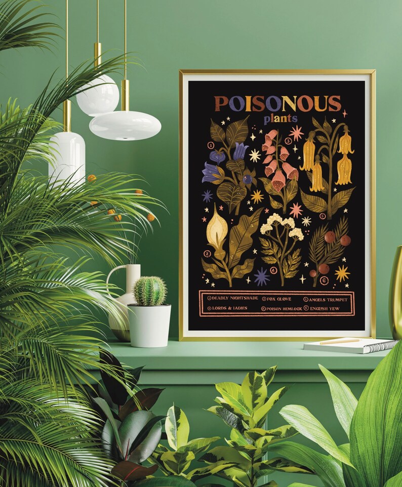 Puede incluir: Un p&oacute;ster enmarcado en negro y dorado con el t&iacute;tulo "POISONOUS plants" e ilustraciones de ocho plantas venenosas. Las plantas est&aacute;n etiquetadas con sus nombres comunes, incluyendo Belladona, Dedalera, Trompeta de &aacute;ngel, Se&ntilde;ores y Damas, Cicuta, y Tejo.
