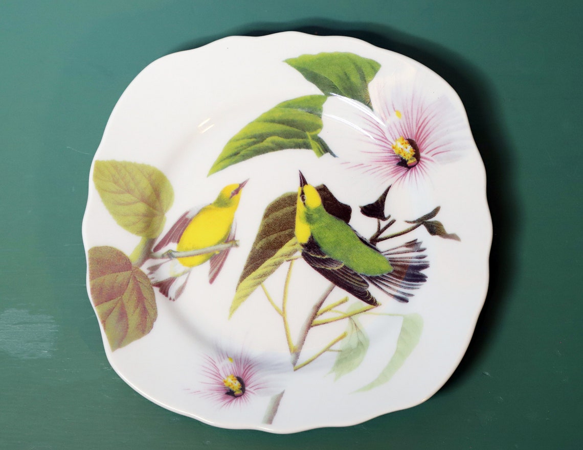 National Audubon Society Collectible Plates L. Godinger & Co Etsy