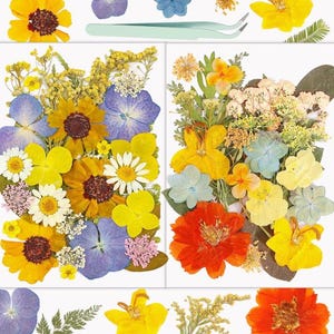 Biglietto di auguri fatto a mano con fiori secchi per compleanni, anniversari e messaggi premurosi