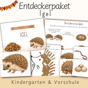 Könnte beinhalten: Ein pädagogisches Set mit Illustrationen von Igeln, Herbstblättern und Regenwürmern. Das Material umfasst ein Entdeckerheft Igel, ein Puzzle sowie Informationskarten mit Texten zum Lebenszyklus von Igeln in deutscher Sprache.