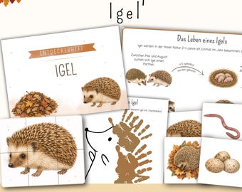 Igel Entdeckerpaket| Projektmappe Kita Igel Herbst | Montessori Material Puzzle, Memory, Spiele | Vorschule, Kindergarten | PDF