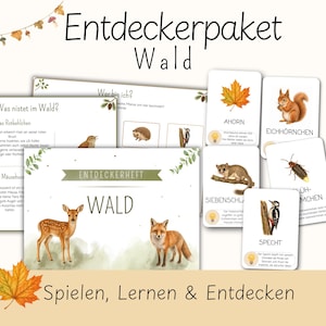 Könnte beinhalten: Ein Wald-Entdeckerpaket bestehend aus einem Entdeckerheft Wald mit Illustrationen von Reh und Fuchs sowie mehreren Informationskarten, die Tiere wie Eichhörnchen, Specht und Glühwürmchen mit begleitenden deutschen Texten darstellen.