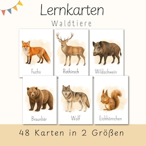 Puede incluir: Un conjunto de tarjetas educativas titulado Lernkarten Waldtiere con ilustraciones en acuarela de un zorro, ciervo, jabalí, oso pardo, lobo y ardilla. Las tarjetas incluyen los nombres en alemán y el texto 48 Karten in 2 Größen en la parte inferior.