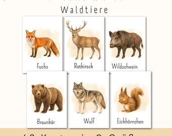 Bildkarten Waldtiere | realistische Lernkarten Montessori | dreiteiliges Kartenset | Wortschatz & Sprachförderung Kindergarten Vorschule