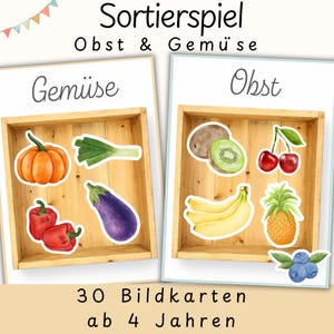 May include: Educational game with two wooden trays labeled "Gemüse" and "Obst". The "Gemüse" tray contains illustrations of vegetables like a pumpkin, leek, eggplant, and red peppers. The "Obst" tray features fruits such as kiwi, cherries, bananas, pineapple, and blueberries.
