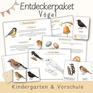 Fågelupptäcktskit | Montessorimaterial, mall för minnespussel och pyssel | Projektmapp för naturvetenskap för dagis | Arbetsblad för förskola (PDF)