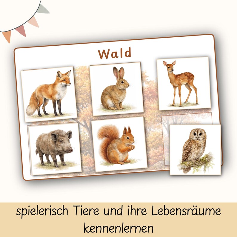 May include: A set of educational cards featuring watercolor illustrations of forest animals, including a fox, rabbit, deer, wild boar, squirrel, and owl. The word "Wald" is at the top, with German text below. The background has a fall foliage theme.