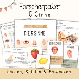 Op de afbeelding: Een set educatieve kaarten en een boekje getiteld Forscherpaket 5 Sinne, met illustraties van menselijke zintuigen zoals oren, ogen, neuzen, handen en monden, naast afbeeldingen van een aardbei en citroen voor zintuiglijke leeractiviteiten.
