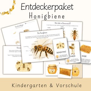 Materiales didácticos sobre abejas para niños | Cuadernillo de aprendizaje sobre las abejas (Montessori) | Tarjetas ilustradas sobre la primavera, los insectos y la naturaleza | Preescolar, jardín de infancia, guardería | PDF
