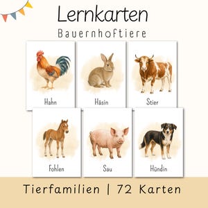 Op de afbeelding: Een set educatieve flashcards getiteld Lernkarten Bauernhoftiere en Tierfamilien 72 Karten. De kaarten bevatten aquarelillustraties van een haan, konijn, stier, veulen, varken en hond, elk gelabeld met de Duitse naam: Hahn, Häsin, Stier, Fohlen, Sau, Hündin.
