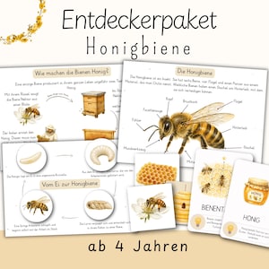 Materiais infantis com tema de abelhas | Livreto educativo sobre abelhas (Método Montessori) | Cartões ilustrados sobre primavera, insetos e natureza | Educação infantil, pré-escola e creche | PDF