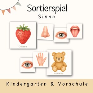 May include: A set of educational cards titled Sortierspiel Sinne, Kindergarten & Vorschule, featuring illustrations of a strawberry labeled Erdbeere, a nose, an eye, a tongue, a hand, and a teddy bear labeled Kuscheltier on white squares.