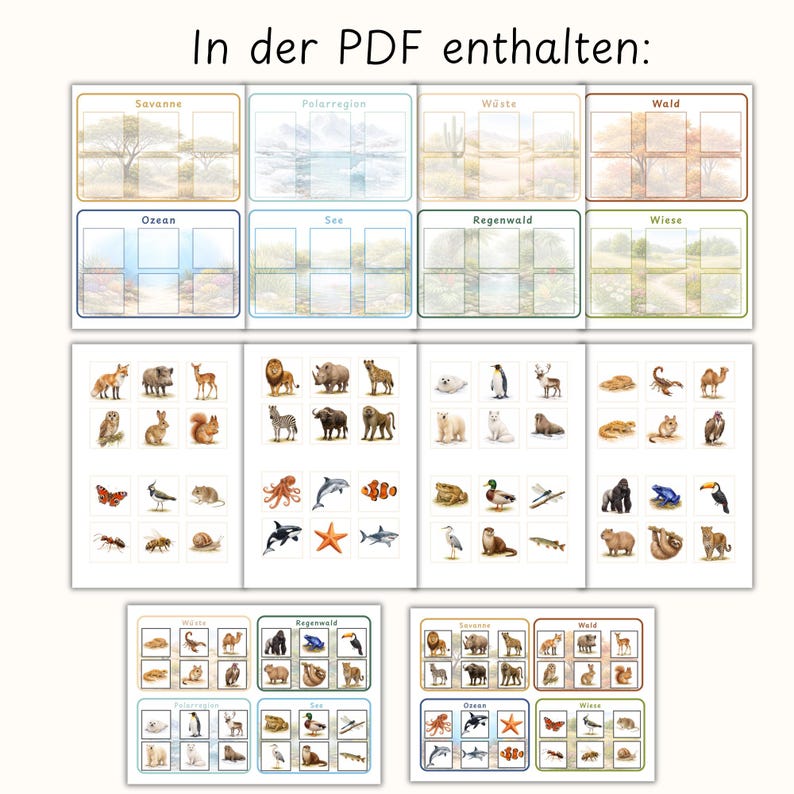 May include: A collection of educational cards featuring various animal illustrations and habitat scenes. The cards are organized by environment, including savanna, polar region, desert, forest, ocean, lake, rainforest, and meadow. Text in German is visible at the top.