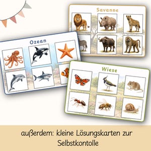 May include: Educational flashcards featuring illustrations of animals from various habitats. The cards are labeled with the words "Ozean", "Savanne", and "Wiese". The image also includes the text "au&szlig;erdem: kleine L&ouml;sungskarten zur Selbstkontrolle".