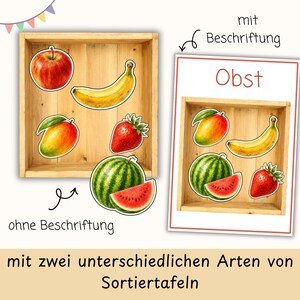 May include: Two wooden sorting trays featuring fruit illustrations including an apple, banana, mango, strawberry, and watermelon. One tray is plain, while the other includes the text 'Obst' and labels. The set displays two different styles of sorting boards.