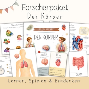 May include: A collection of educational cards and booklets titled Forscherpaket Der Körper, featuring anatomical illustrations of the human brain, heart, lungs, and intestines, alongside text in German explaining body functions and health.