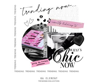 The Trending Collection | Luxe Digital planner stickers, Magazine Collage stickers, Goodnotes Sticker File, 55 Pre-cropped PNGs | CL29