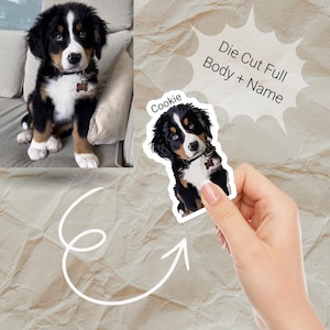 Pegatinas personalizadas para mascotas, vinilo troquelado resistente al agua, regalo personalizado, pegatinas personalizadas para perros, pegatinas personalizadas para gatos, pegatinas para botellas de agua, calcomanías para mascotas