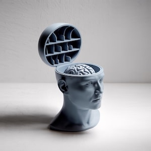 May include: A blue-grey sculpture of a human head with an open top revealing a brain. The top of the head is a hinged lid with a grid-like interior. The brain is detailed, and the sculpture is on a white surface.